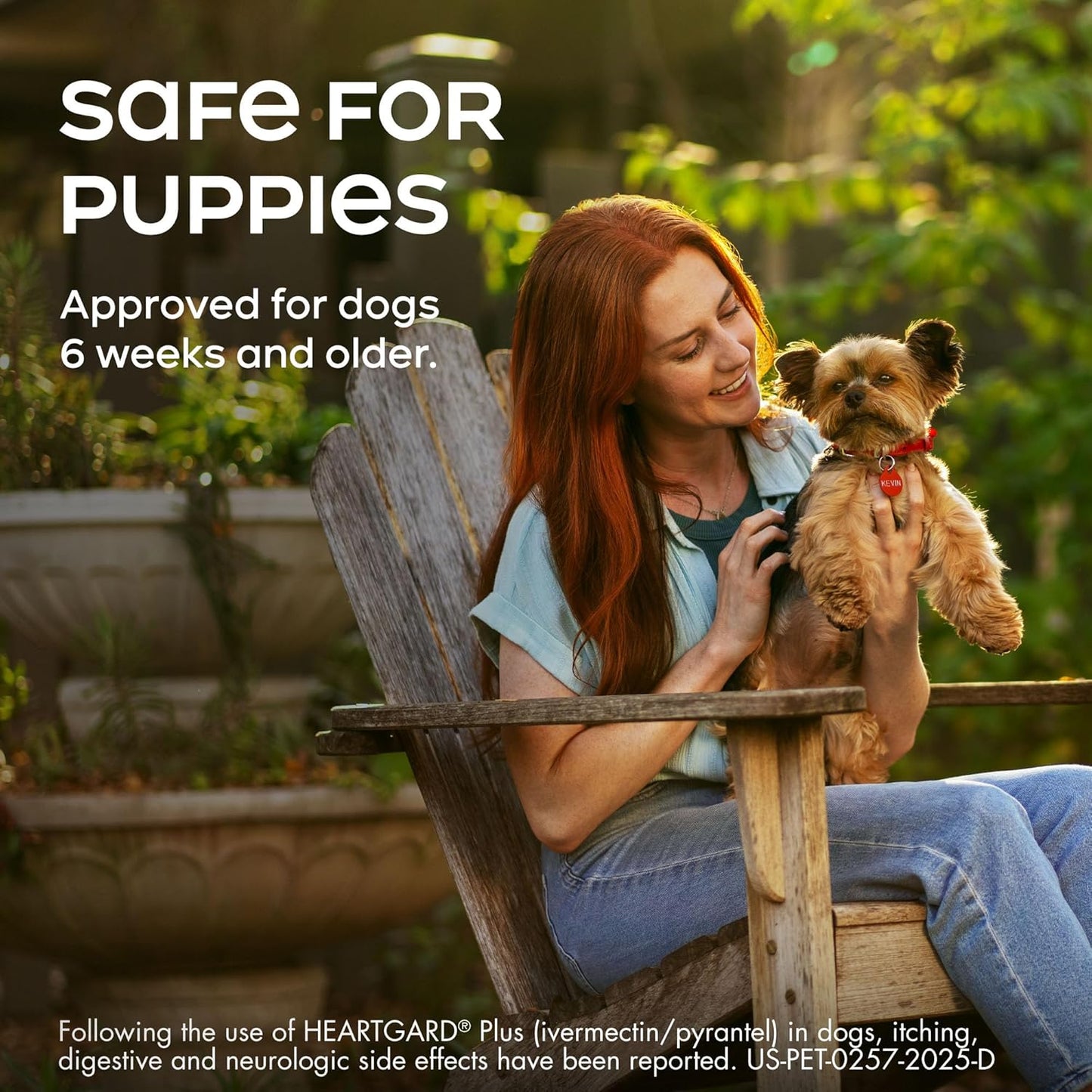 HEARTGARD® Plus (ivermectin/pyrantel) Real-Beef Chewables for Dogs up to 25 lbs (Blue Box) 12 Month Supply of Chews (Heartworm Disease Preventive)