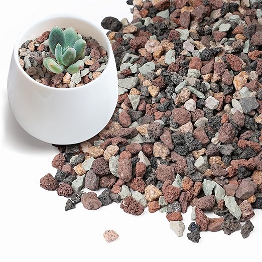 2.5lbs Terrarium Rocks for Pots Indoor, Succulent, Cactus, Bamboo, Bonsai Tree, 1/5 Inch Rocks for Planters Drainage, Mixed Color Small Lava Rocks for Top-Dressing