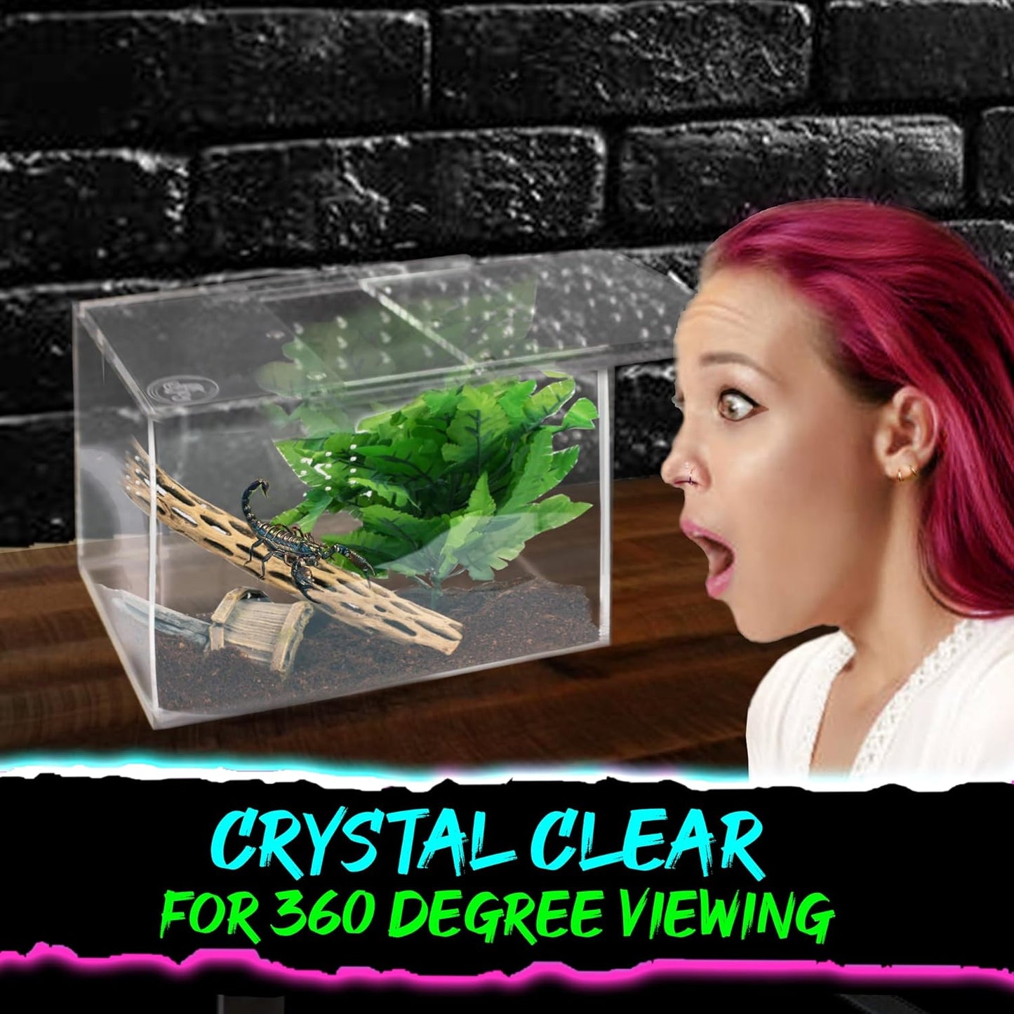 Jumping Spider Enclosure 5"x5"x7" or Tarantula Enclosure - Reptile Terrarium w/Sliding Magnetic Door - Great Reptile Tank & - Acrylic Aquarium Spider Box for Terrestrial or Arboreal Animals