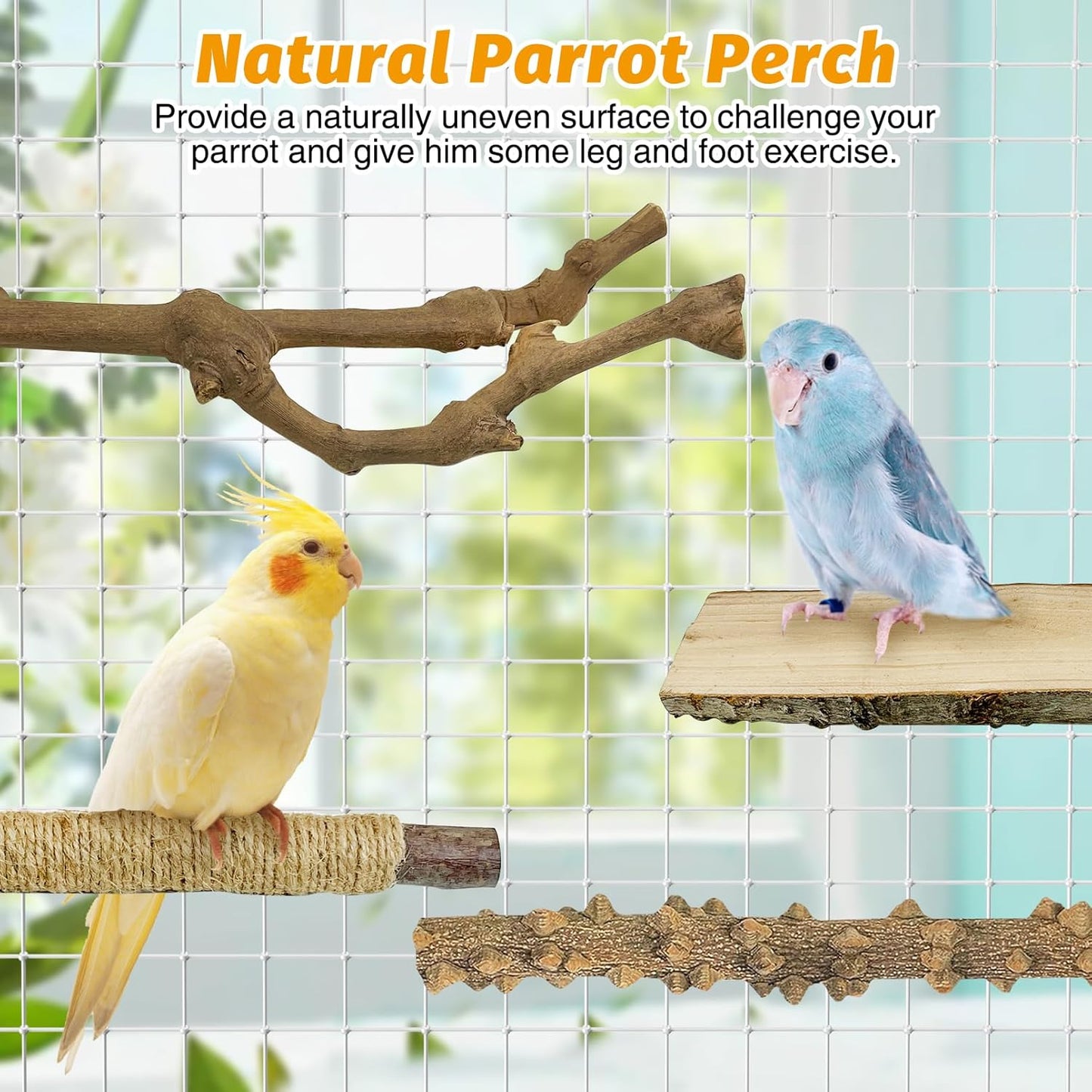 kathson 5pcs Natural Parrot Perch for Cage Wooden Bird Perches Grape Bird Stick Parakeet Climbing Standing Branches Toy Chewable Cage Accessories for Small Budgies Cockatiels