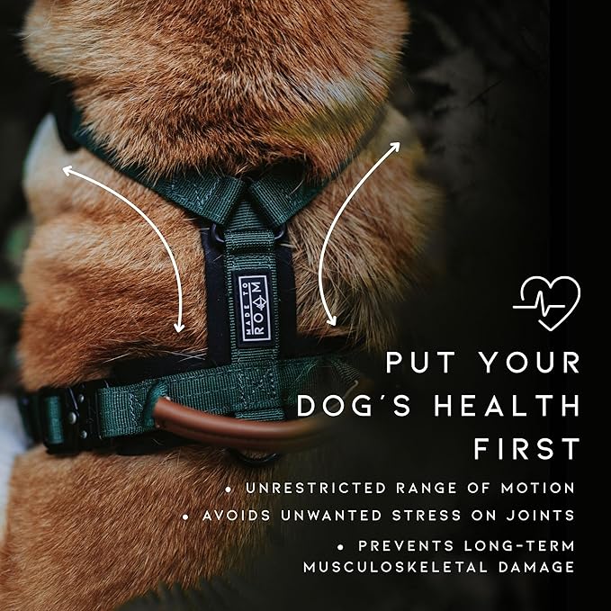 MADE TO ROAM Premium Explorer Harness - Y-Shaped Dog Harness with Adjustable Durable Nylon, Soft Padding, Metal Buckles and Leather Handle for Small, Medium, Large Dogs (Virginia Mountains, Size 1)