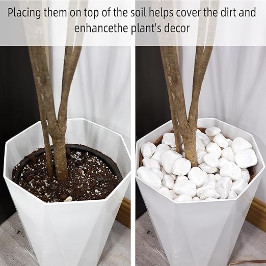 8LB 1"-2" White River Rocks for Plants, Polished Pebbles for Garden Landscaping, Planters, Aquariums, Vase Fillers – Indoor & Outdoor Decor