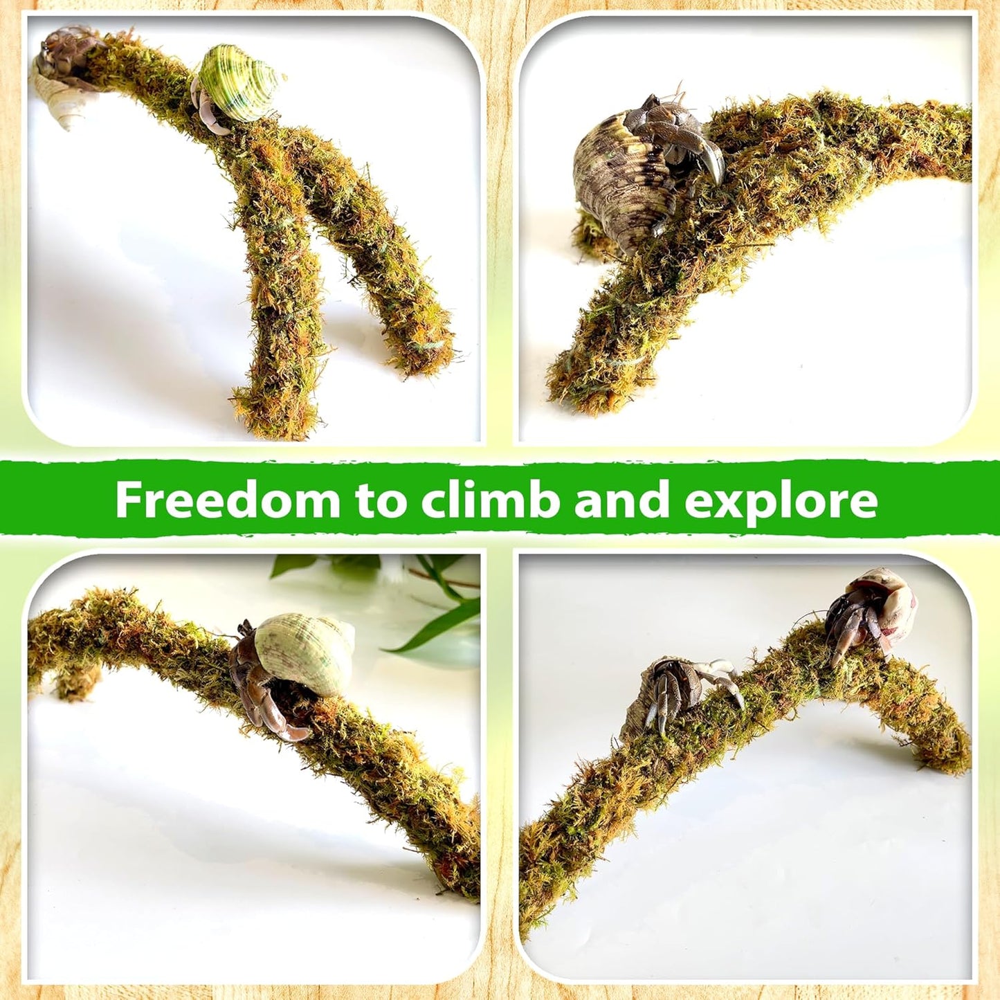 Duspro Hermit Crab Climbing Toys – Y Shaped Flexible Moss Pole Wrapped in Soft Yarn and Forest Moss, Hermit Crab Accessories and Easy-to-Use Hermit Crabs Supplies – Perfect for Climbing (12 inches)
