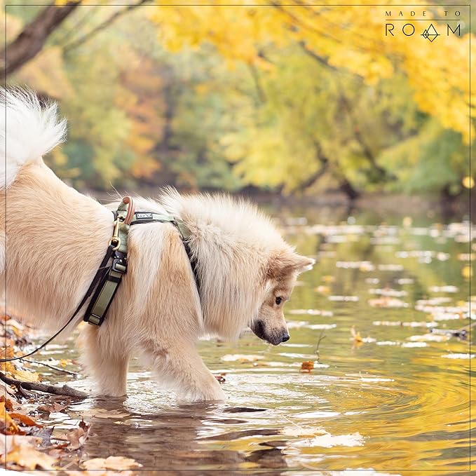 MADE TO ROAM Premium Explorer Harness - Y-Shaped Dog Harness with Adjustable Durable Nylon, Soft Padding, Metal Buckles and Leather Handle for Small, Medium, Large Dogs (New York Afterlight, Size 5)