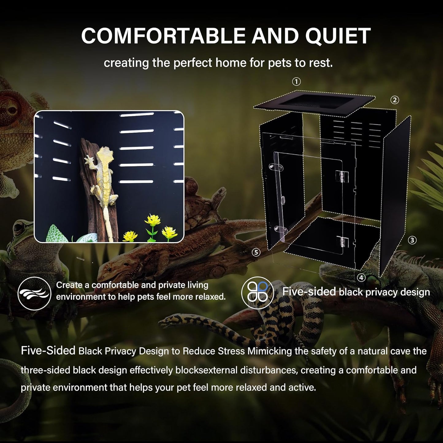 Reptile Enclosure for Crested Gecko – 12x12x18 Acrylic Reptile Tank for Gecko, Snake, and Lizard – PVC Terrarium for Small Pets