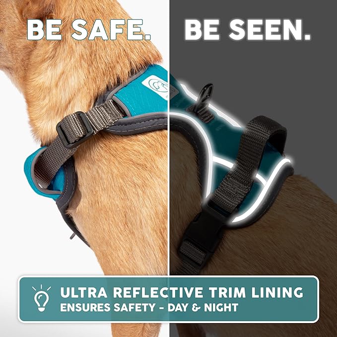 Embark Adventure Dog Harness, No-Pull Reflective Trim Dog Harness for Small, Medium & Large Dogs - Military Grade Nylon, 2 Leash Clips & Gel Lined Handle. Soft & Padded Puppy Dog Vest for Any Breed