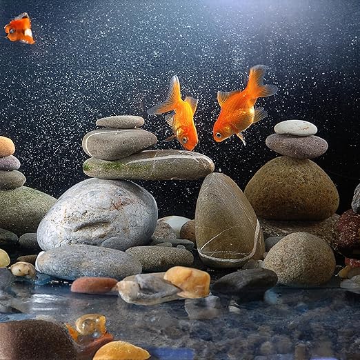 White River Rocks 40lbs, 2-3 Inch Natural Unpolished Bulk Pebbles, Hand-Picked Premium Stones for Landscaping and Garden Design Fish Tank, Flower Pots, Pathways and Backyard