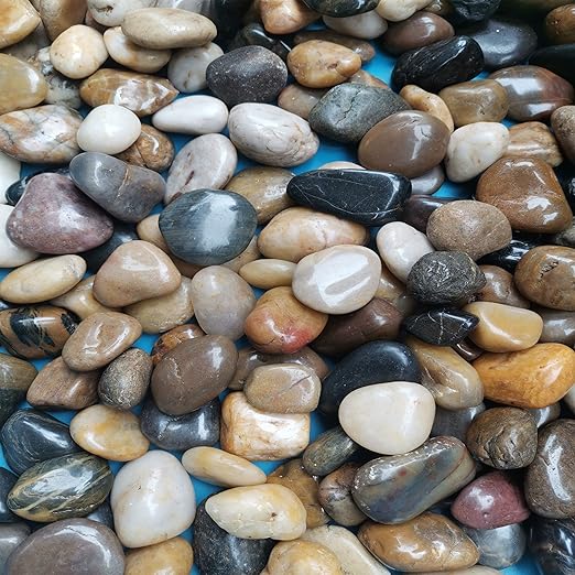 XXYXXY Natural River Rocks Decorative Rocks, Succulents, Highly Polished Decorative Pebbles in Shapes and Sizes from 1-3 inches. (18LB, 1)