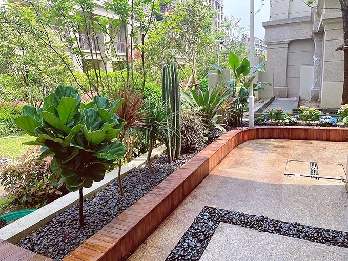 10 lb Small Pebbles for Plants, Polished Black Stones. Decorative River Rocks for Outdoor Landscaping, Vase, Aquarium and Garden