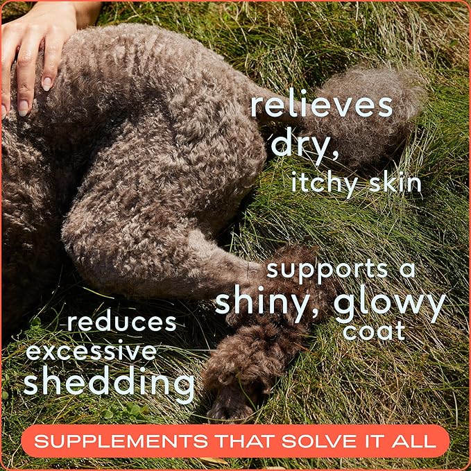 Native Pet Omega 3 Fish Oil for Dogs & Cats - Promotes Healthy Skin, Shiny Coat, & Strong Joints - Made with Wild Alaskan Salmon Oil for Dogs – Tasty, Fast-Absorbing Omega 3 6 9 Liquid Supplement- 8oz