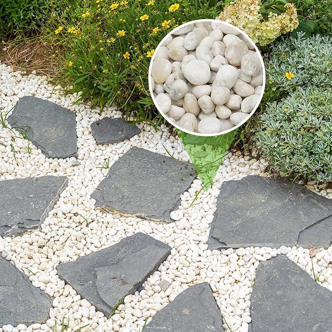 Mr. Fireglass 5lb White River Rocks, 3/8 inch Natural Decorative Polished Pebbles Aquarium Gravel Stones for Landscaping, Indoor Plants, Vase, Succulent, Fish Tank