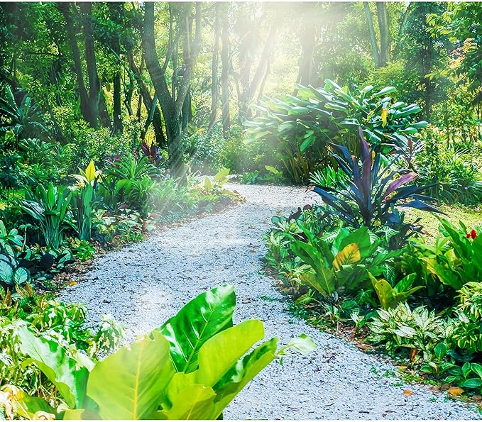 45lb White Cactus Pea Gravel Rocks,1/4 Inch Pebbles for Indoor Plants, Natural Succulent Rock and River Rocks Decorative for Aquariums, Vases, Outdoor Gardening, Top Dressing for Potted Plants