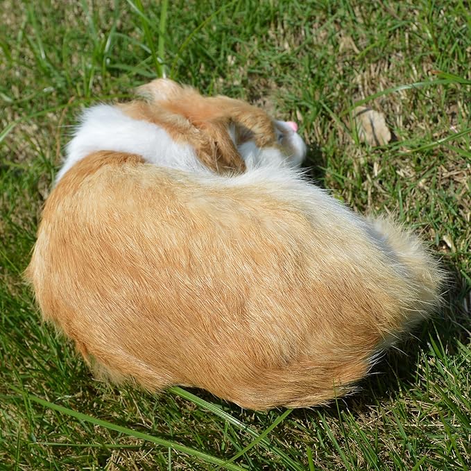 Realistic Furry Sleeping Cat Figurine Simulation Kitty Lifelike Kitten Home Office Shelf Decorative Statue, Synthetic Fur Pet Replica (Orange)