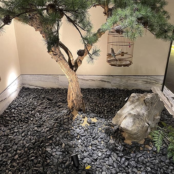 10 lbs Black Pebbles - 2-3 inch Decorative River Stones for Plants, Aquarium, Fish Tank, Outdoor Garden Landscaping